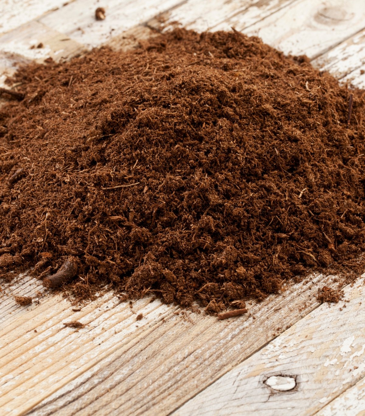Coco Peat