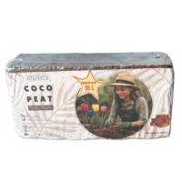 Untitled design (3) (1)