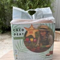 WhatsApp Image 2026-03-27 at 9.40.25 AM