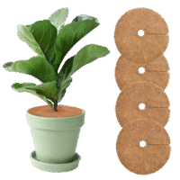 Untitled_design__12_-removebg-preview