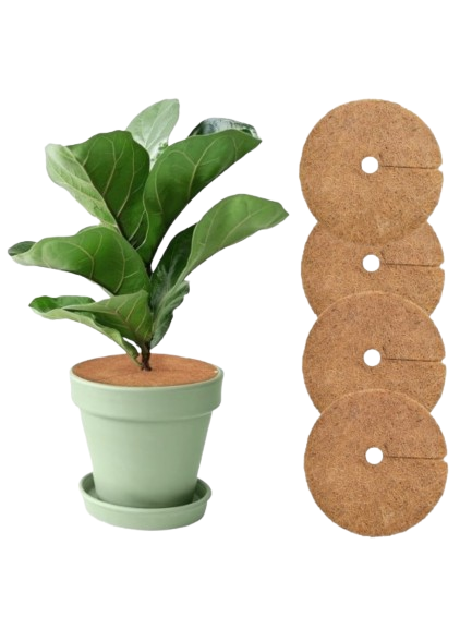 Weed Prevention Mat