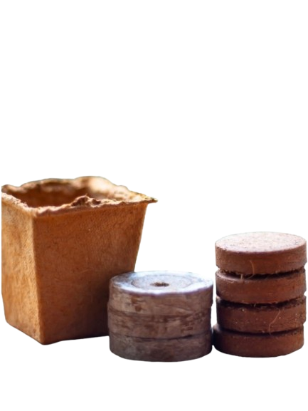 Coir Pallets