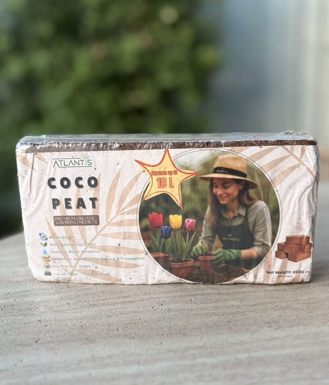 Coco Peat 650g Block